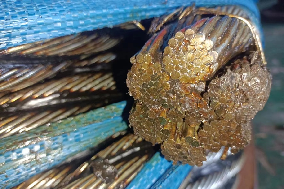 IWRC-strukturen af ​​stålwiretovet - del 2